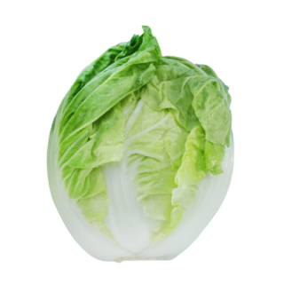 Fine Zone Chinese Cabbage From Known You Seed (India) - KYI